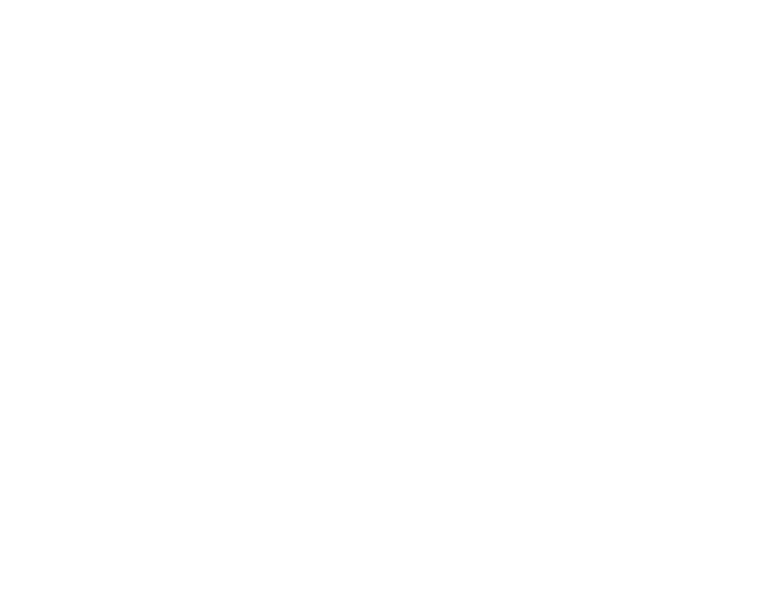 29 Leverkusen white